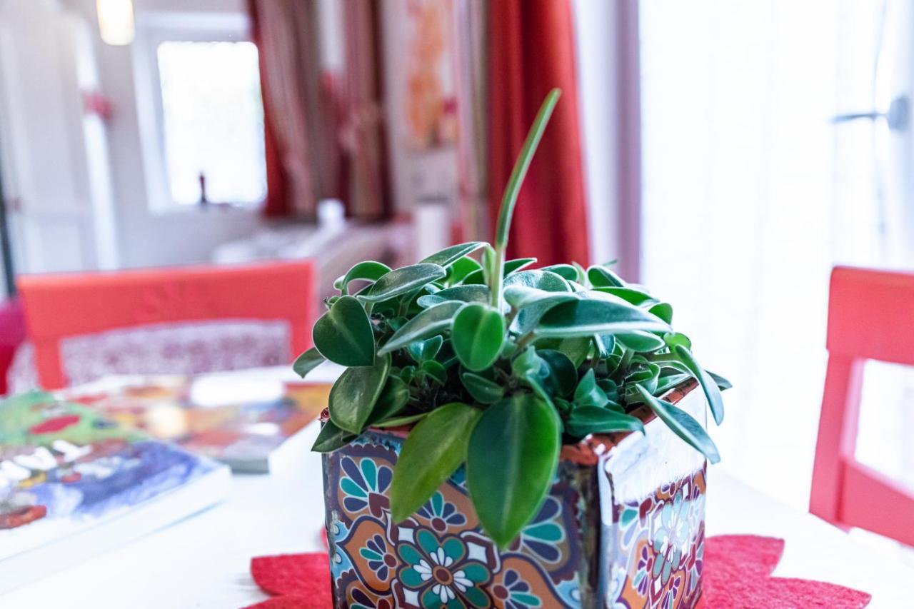 Bed and Breakfast Casa Novecento Feltre Exterior foto